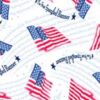 Star Spangled Banner Quilting Treasures Fabric